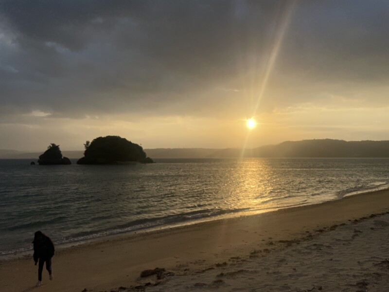 🎍新年のご挨拶🎍